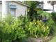 252 Lennox Street, Maryborough QLD 4650