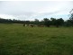 76 Burtons Road, Antigua, Mungar QLD 4650