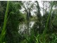 76 Burtons Road, Antigua, Mungar QLD 4650