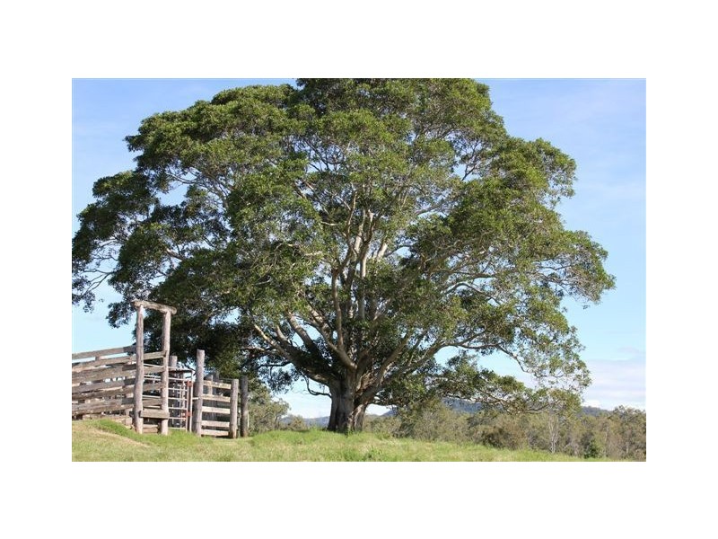 4180 Bruce Highway, Bauple QLD 4650