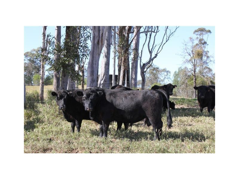 4180 Bruce Highway, Bauple QLD 4650