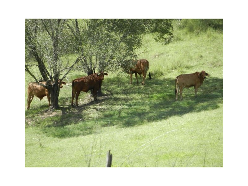 85 Pioneers Rest Road, Mungar, Maryborough West QLD 4650