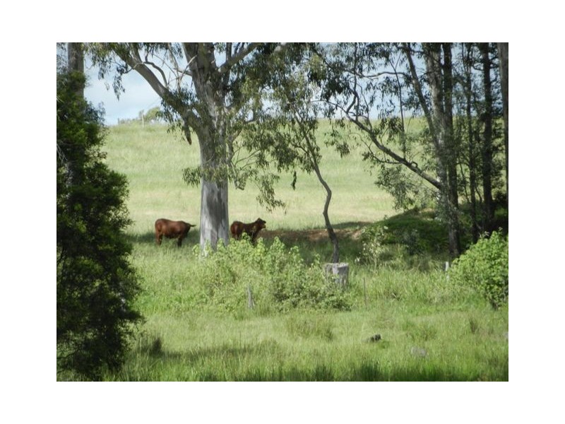 85 Pioneers Rest Road, Mungar, Maryborough West QLD 4650