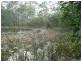 138 Staiers Road, Mungar QLD 4650
