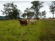 Brooweena QLD 4620
