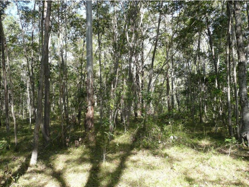 0 Teddington Road, Tinana South QLD 4650