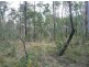 0 Teddington Road, Tinana South QLD 4650