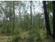 0 Teddington Road, Tinana South QLD 4650