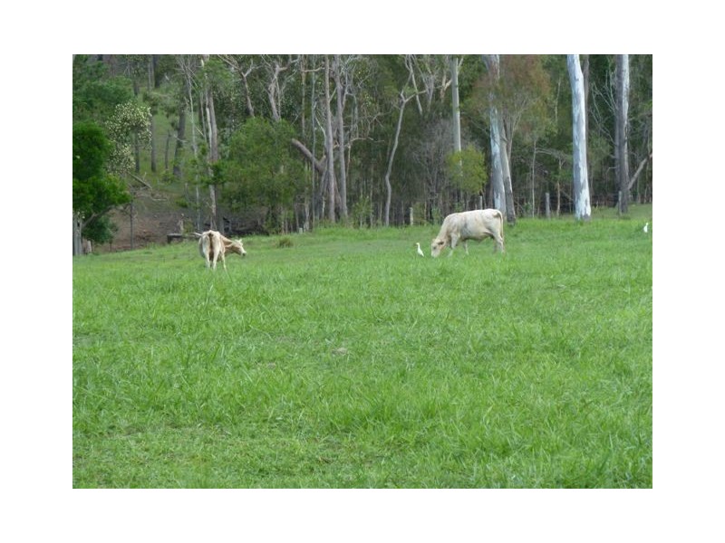 2 Oxford Street, Bidwill QLD 4650