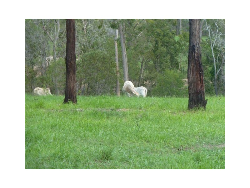 2 Oxford Street, Bidwill QLD 4650