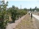 4 Three Mile Road East, Tinana South QLD 4650