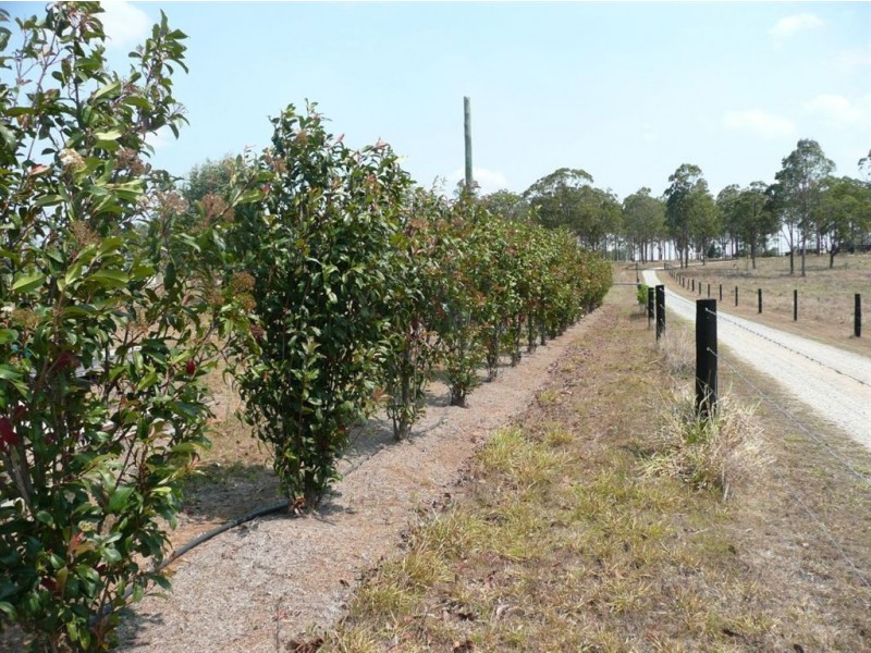 4 Three Mile Road East, Tinana South QLD 4650