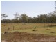 213 Old Gayndah Road, Dunmora QLD 4650