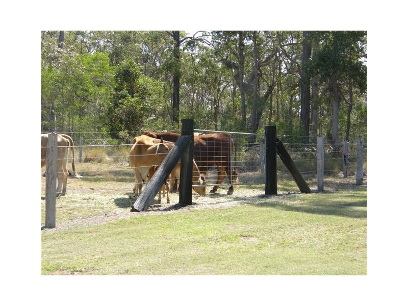 213 Old Gayndah Road, Dunmora QLD 4650