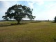 405-433 Lot 53 Nerada Road, Tinana South QLD 4650