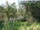 405-433 Lot 53 Nerada Road, Tinana South QLD 4650