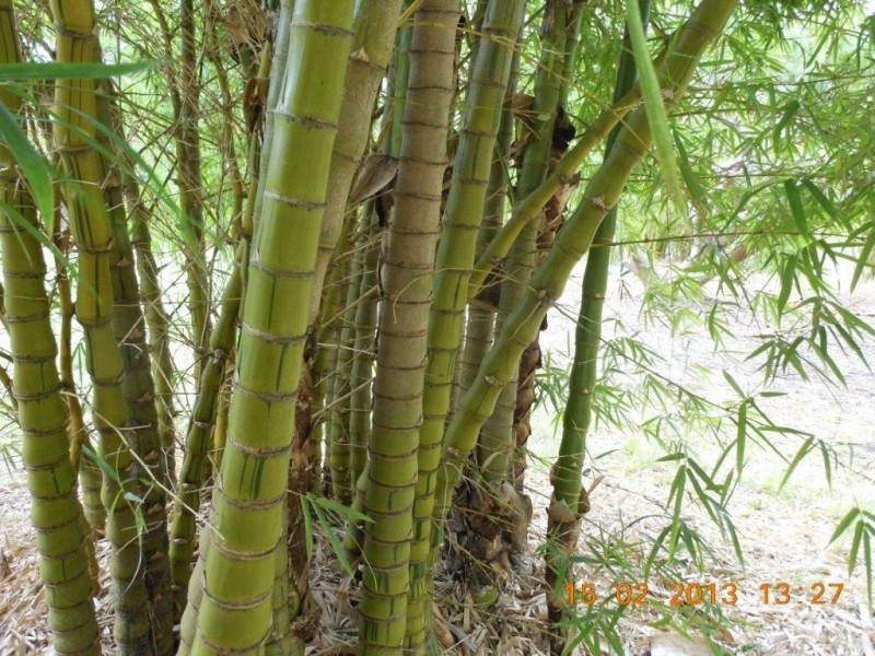 381 Beaver Rock Road, Maryborough QLD 4650