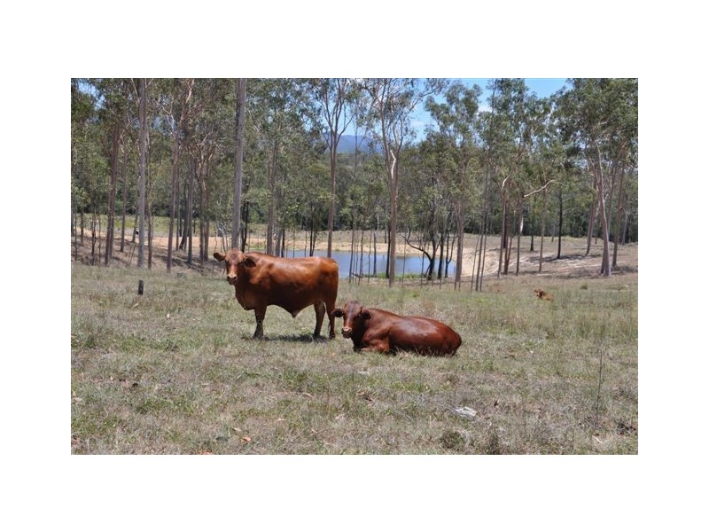 907 Neardie Road, Aramara QLD 4620
