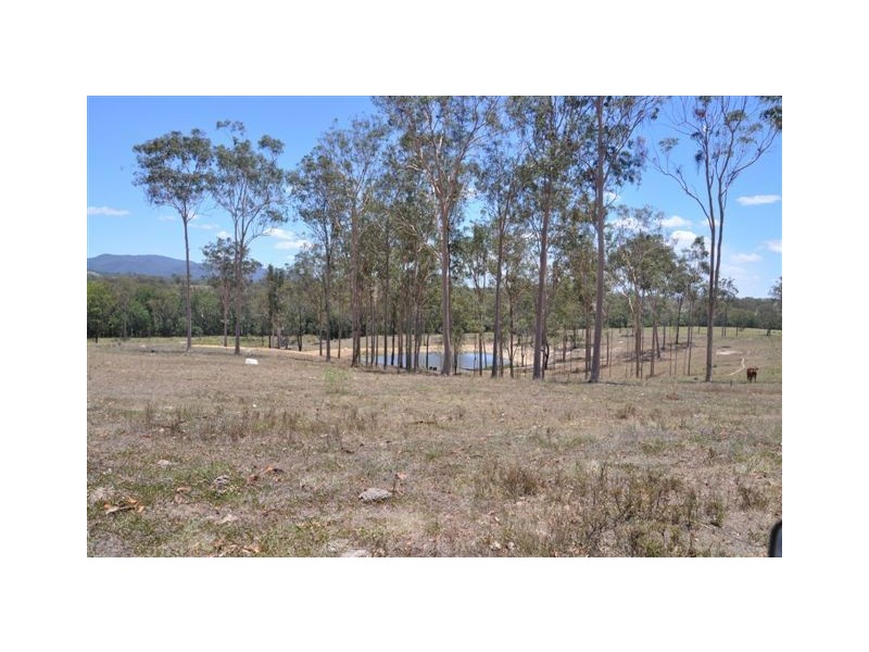907 Neardie Road, Aramara QLD 4620