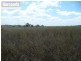 Lot 43 Netherby Road, Tiaro QLD 4650