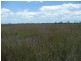 Lot 43 Netherby Road, Tiaro QLD 4650