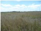 Lot 43 Netherby Road, Tiaro QLD 4650