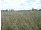 Lot 43 Netherby Road, Tiaro QLD 4650