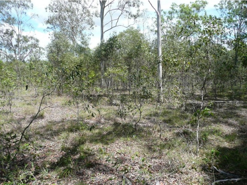 Lot 5 Bluebell Road East, Tinana QLD 4650