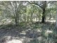 Lot 5 Bluebell Road East, Tinana QLD 4650