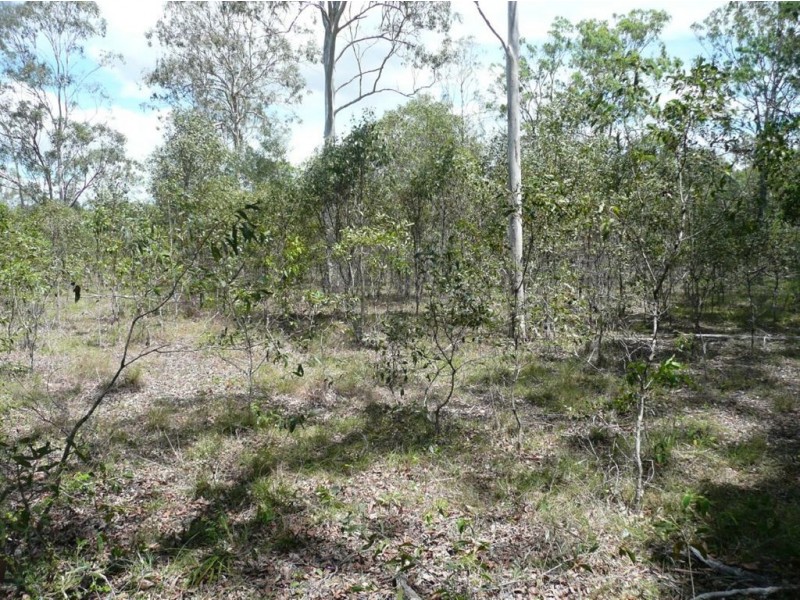 Lot 5 Bluebell Road East, Tinana QLD 4650