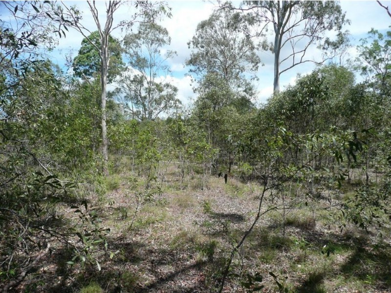 Lot 5 Bluebell Road East, Tinana QLD 4650