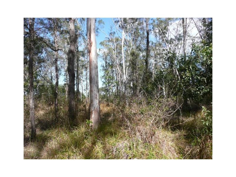 318 Eatonvale Road, Tinana QLD 4650