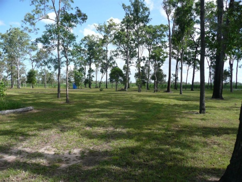 11 Lamerton Drive, Tinana QLD 4650