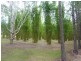 1106 Mungar Road, Mungar QLD 4650