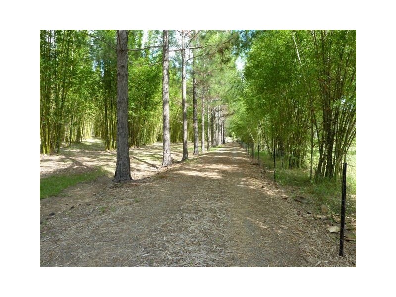 1106 Mungar Road, Mungar QLD 4650