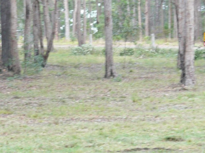 108 Nangarin Road, Oakhurst QLD 4650