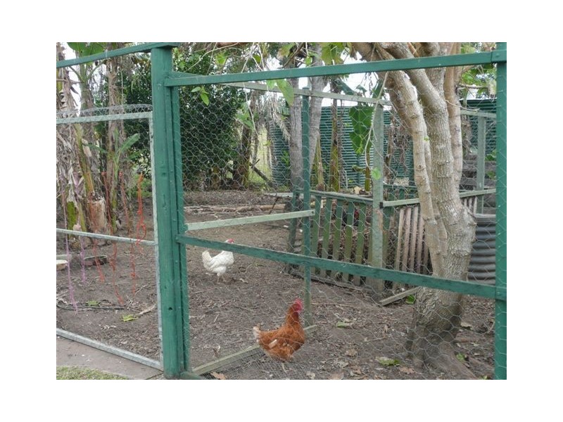 19 Jamieson Street, Tiaro QLD 4650