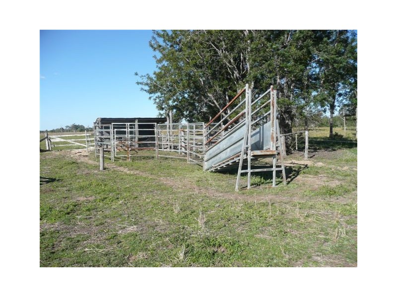 1221 Bidwill Road, Bidwill QLD 4650