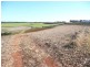 159 McDonald Road, Tinana South QLD 4650