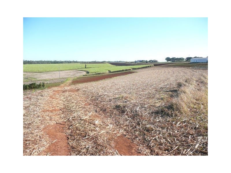 159 McDonald Road, Tinana South QLD 4650