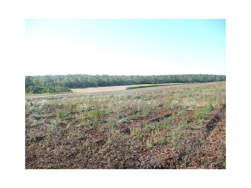 159 McDonald Road, Tinana South QLD 4650