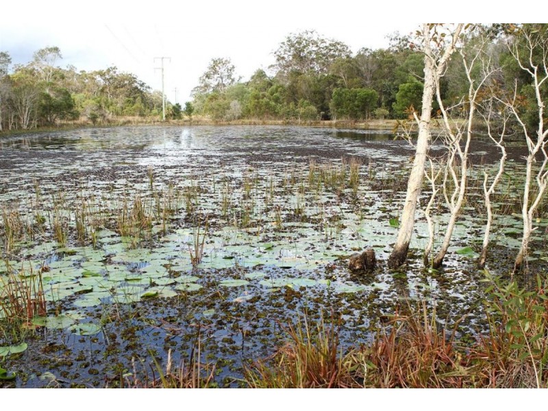 40 East Street, Howard QLD 4659