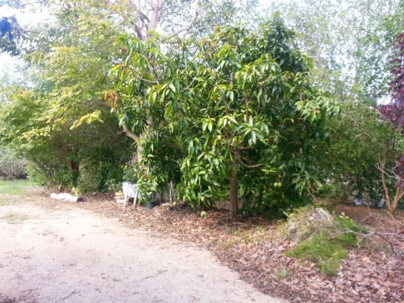 24 Walter Street, Tiaro QLD 4650