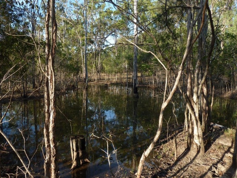 1195 Mungar Road, Mungar QLD 4650