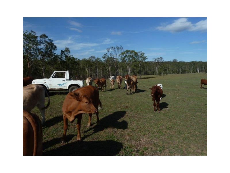 103 Thinoomba Street, Tiaro QLD 4650