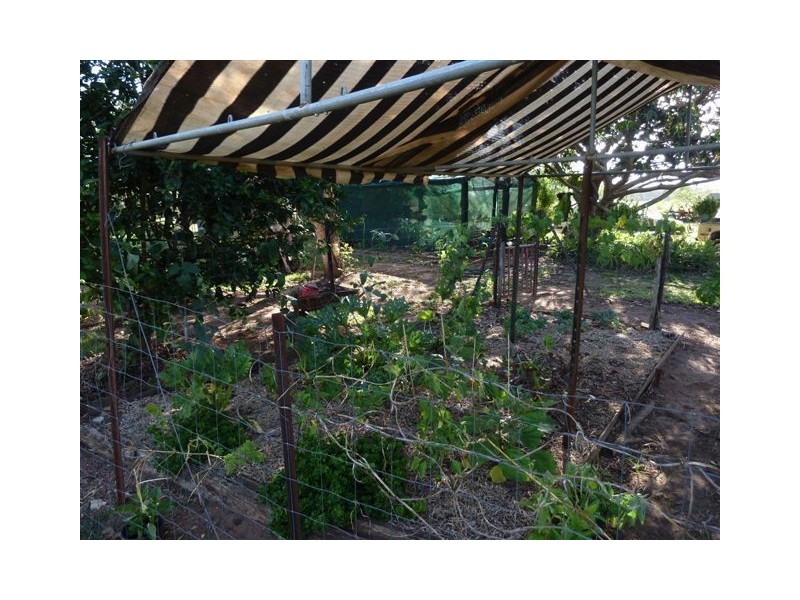 103 Thinoomba Street, Tiaro QLD 4650