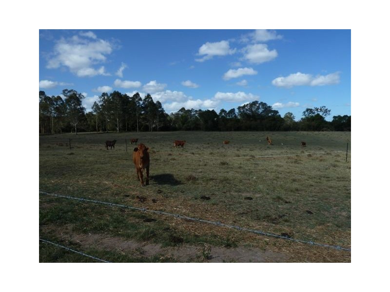 24 Amador Road, Tinana QLD 4650