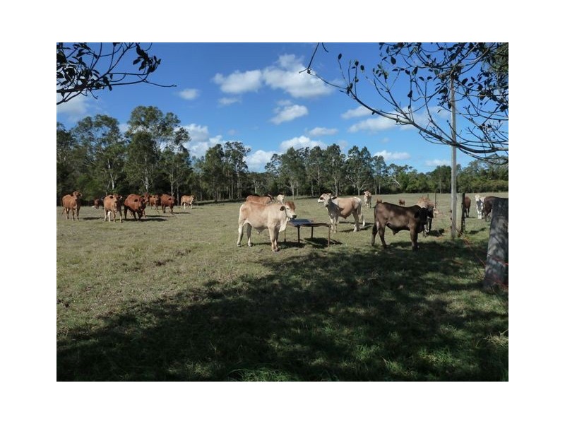 24 Amador Road, Tinana QLD 4650