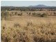 Mungar QLD 4650