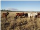 Mungar QLD 4650